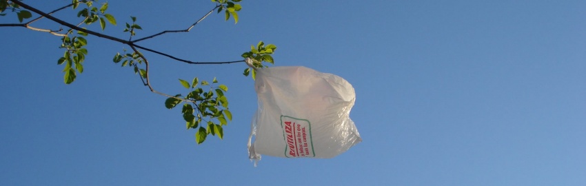 Problemática de las Bolsas Plásticas