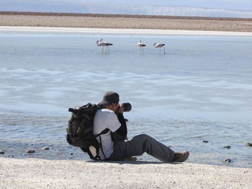 Salvaje Naturaleza - Muestra fotográfica